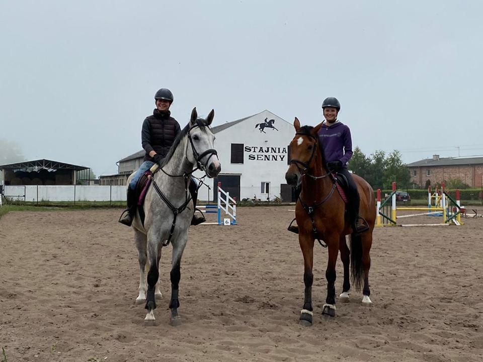 Noclegi Przy Stajni Senny - Horse Riding ウェバ エクステリア 写真