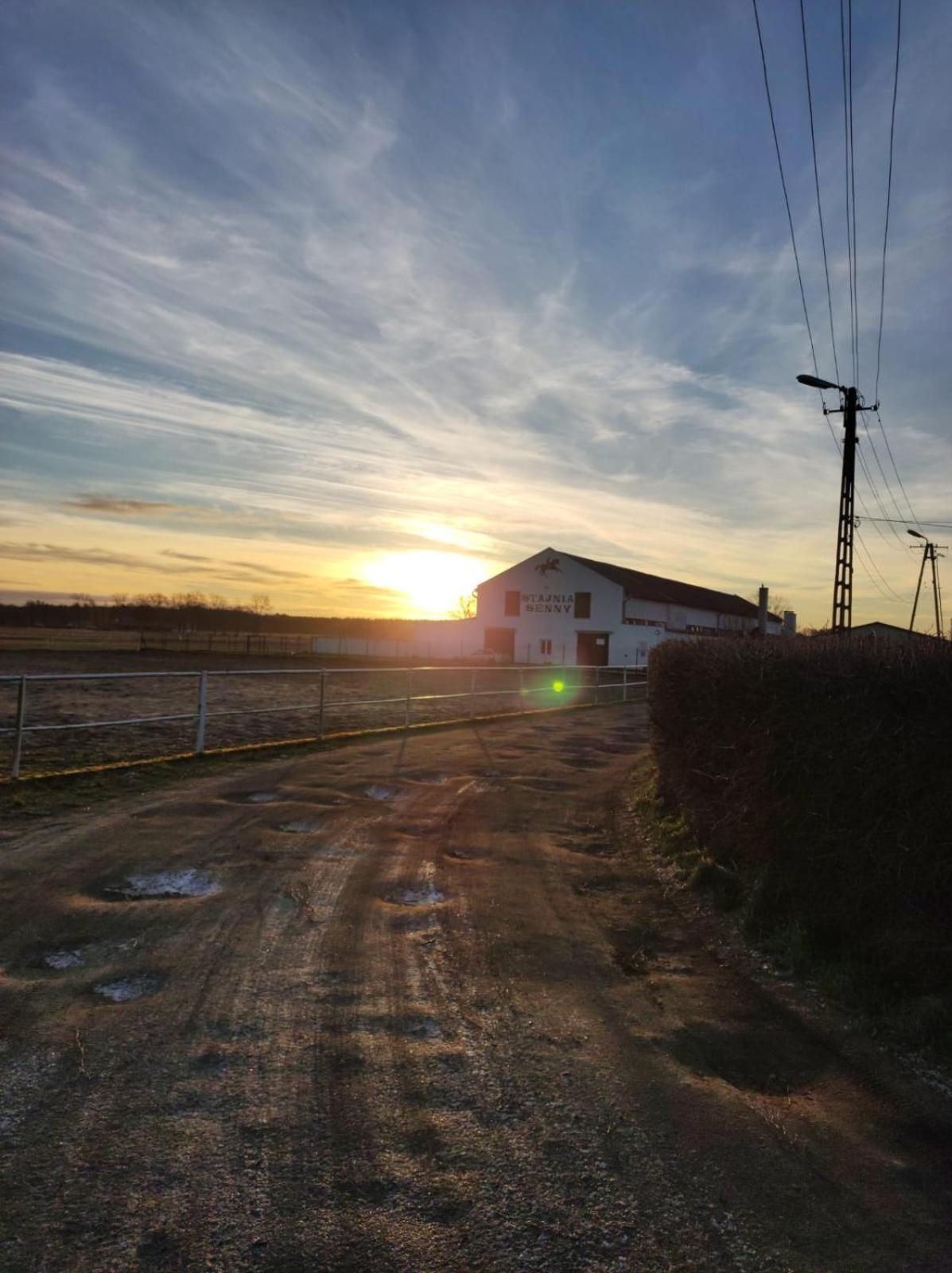 Noclegi Przy Stajni Senny - Horse Riding ウェバ エクステリア 写真